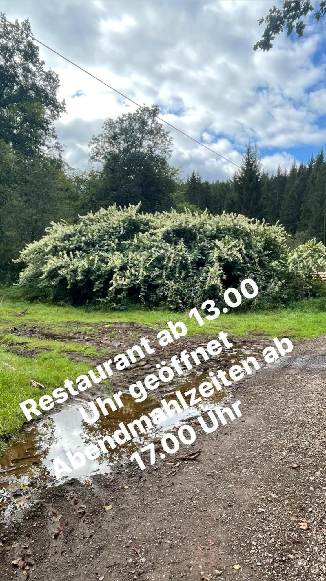 Pension Zur Quelle Deudesfeld Екстериор снимка